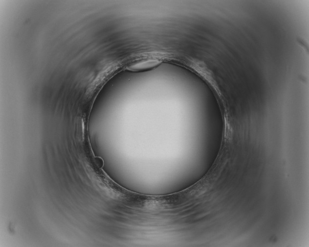 X0000102790109200809021123