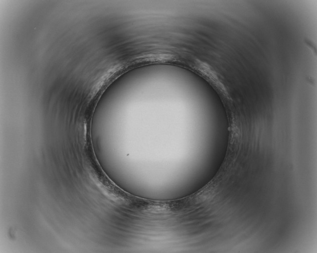 X0000102790110200809021123