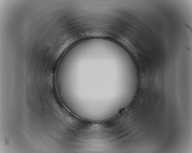 X0000102790111200809021123