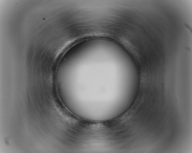 X0000102790112200809021123