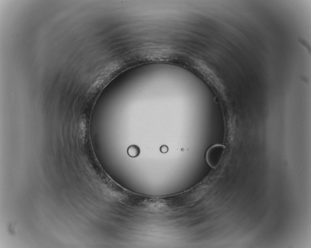 X0000102790113200809021123