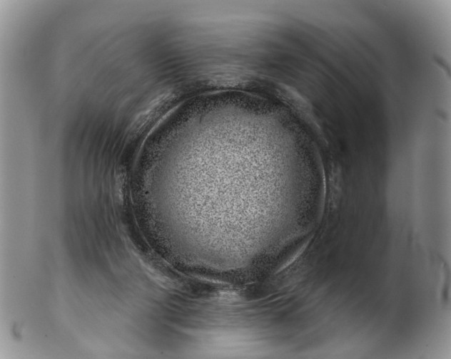 X0000102790114200809021123