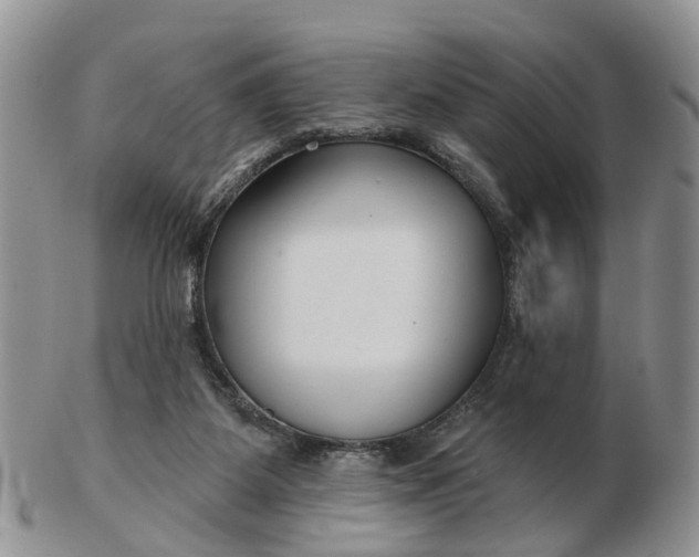 X0000102790115200809021123