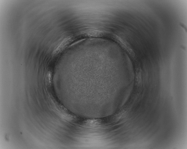 X0000102790117200809021123