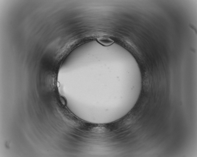 X0000102790119200809021123