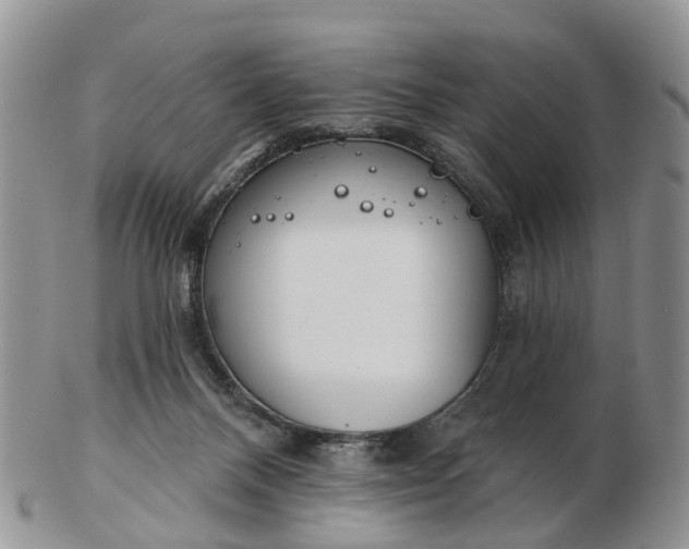 X0000102790120200809021123