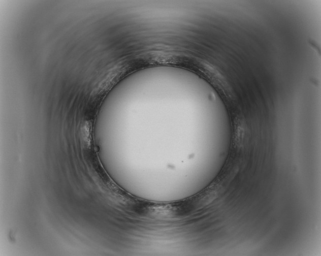 X0000102790121200809021123