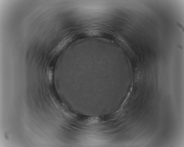 X0000102790124200809021123