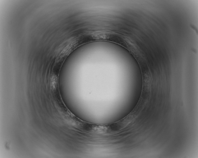 X0000102790125200809021122