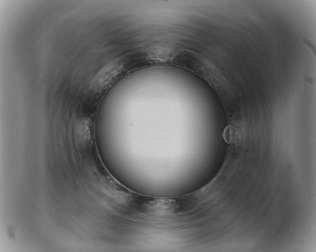 X0000102790128200809021122