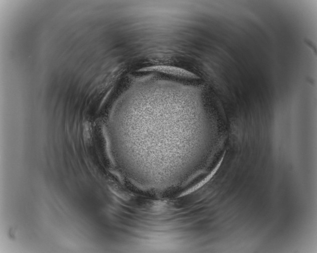 X0000102790130200809021122