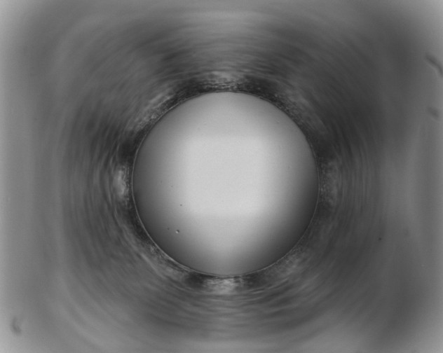 X0000102790131200809021122