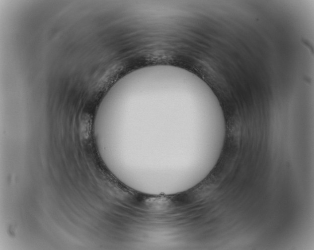 X0000102790133200809021122