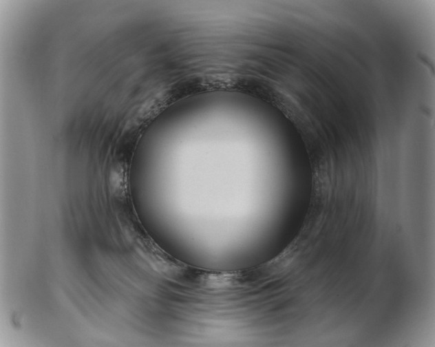 X0000102790134200809021122