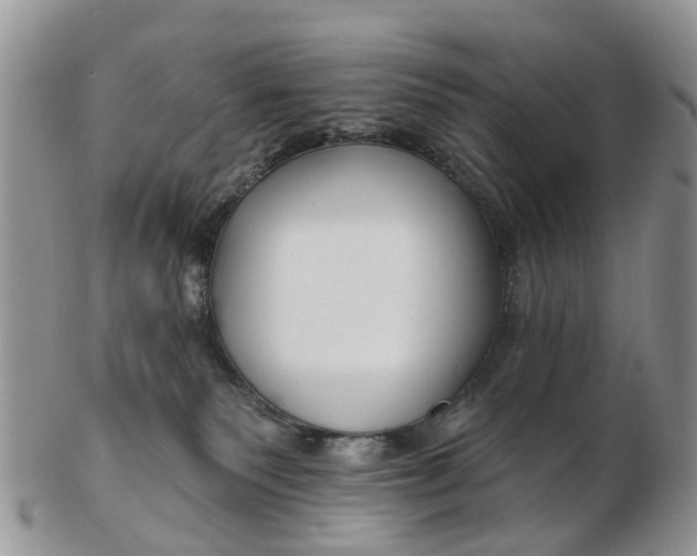 X0000102790135200809021122