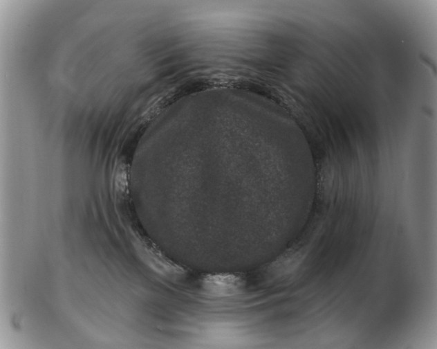 X0000102790137200809021122