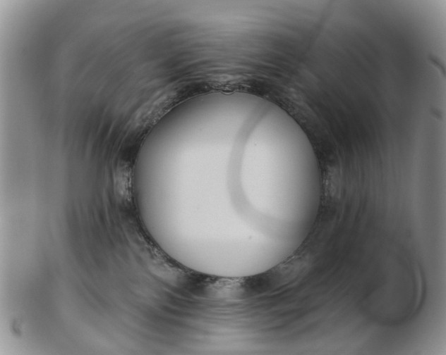 X0000102790138200809021122