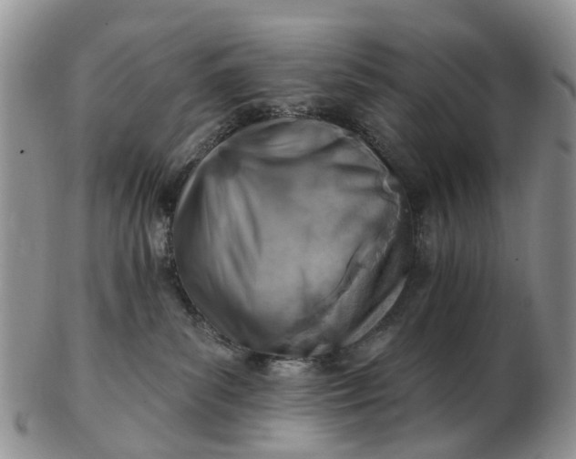 X0000102790139200809021122