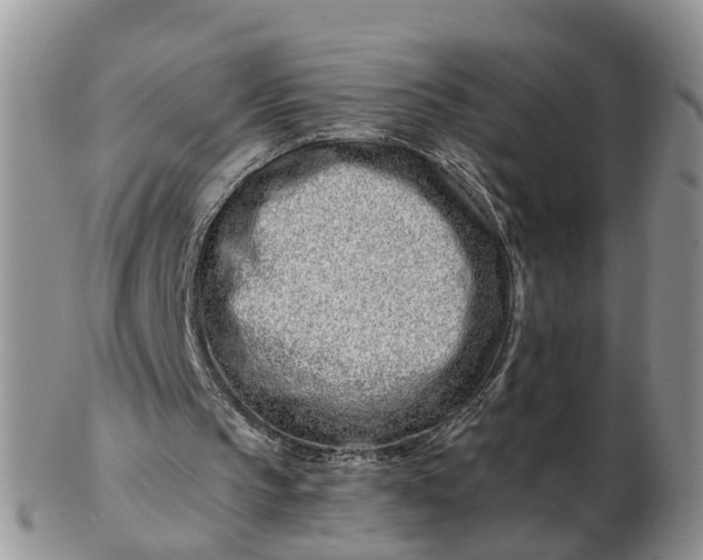 X0000102790145200809021122