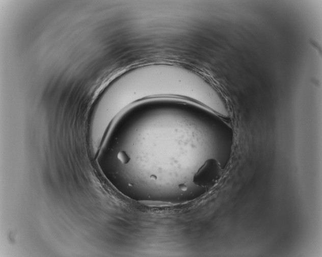 X0000102790146200809021122