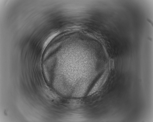 X0000102790147200809021122