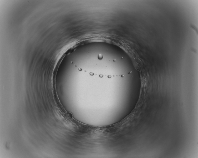 X0000102790148200809021122