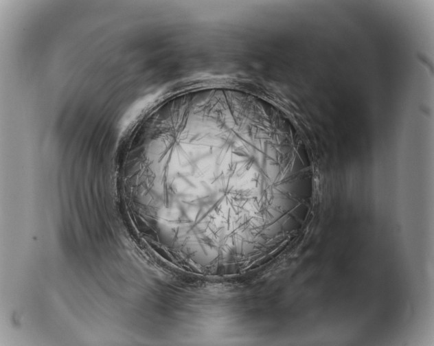 X0000102790149200809021122