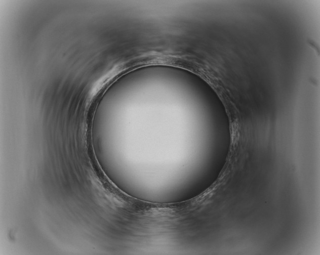 X0000102790150200809021122