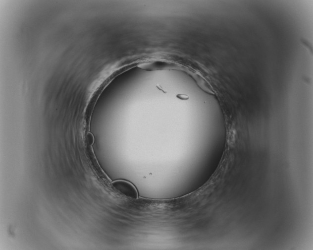 X0000102790152200809021122