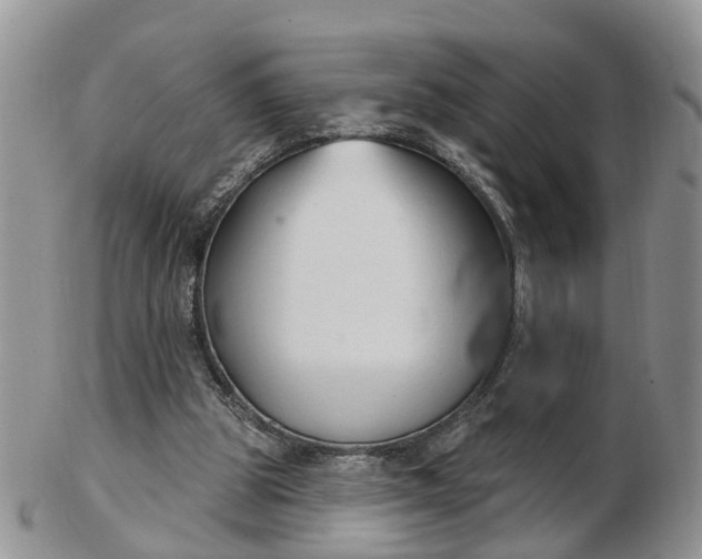 X0000102790153200809021122