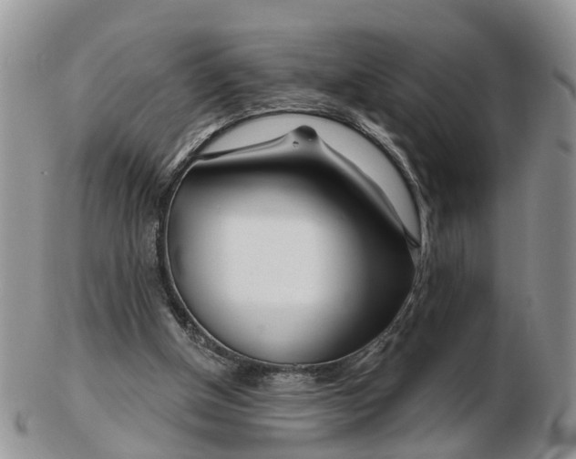 X0000102790154200809021122