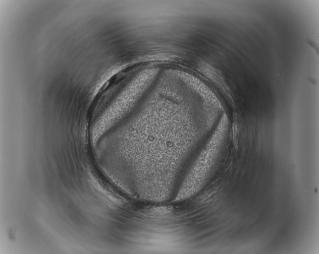 X0000102790156200809021122