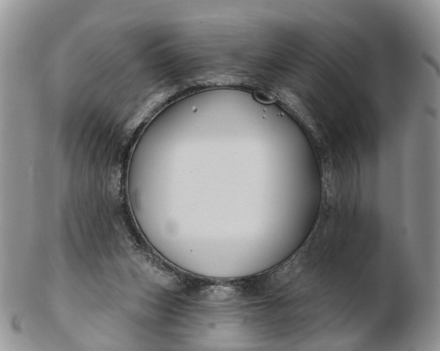 X0000102790159200809021122