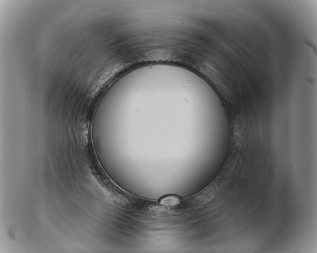 X0000102790160200809021122