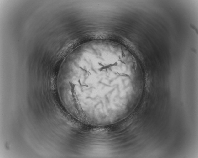 X0000102790161200809021122