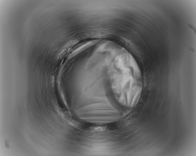 X0000102790163200809021122