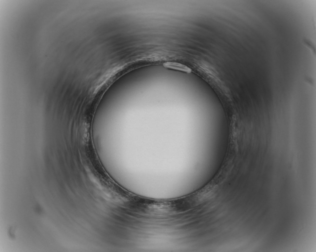 X0000102790164200809021122