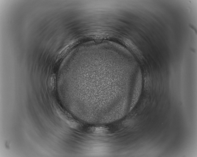 X0000102790165200809021122