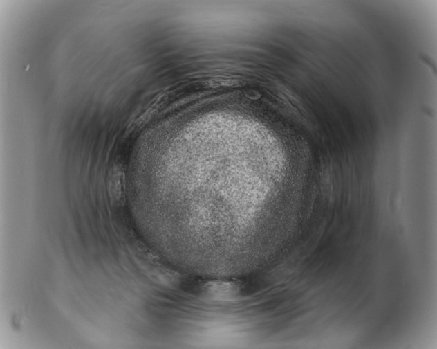 X0000102790169200809021122