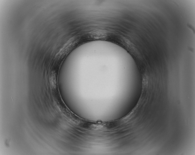 X0000102790170200809021122