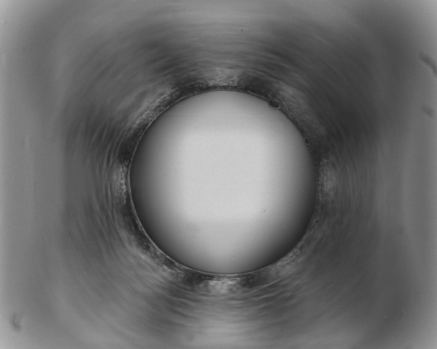 X0000102790172200809021122