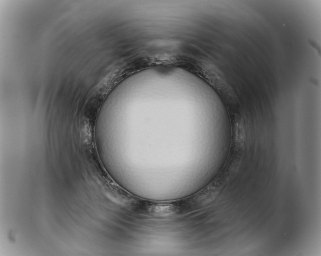 X0000102790173200809021122