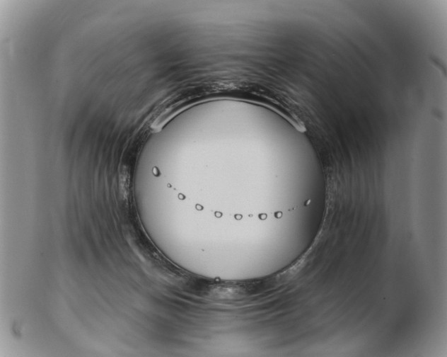 X0000102790174200809021122