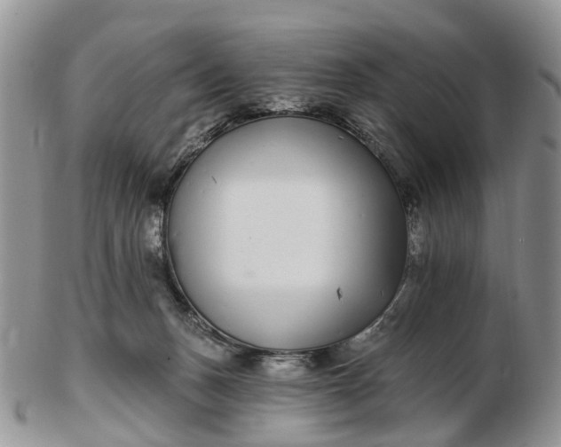 X0000102790175200809021122