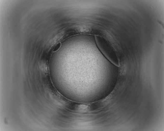 X0000102790176200809021122