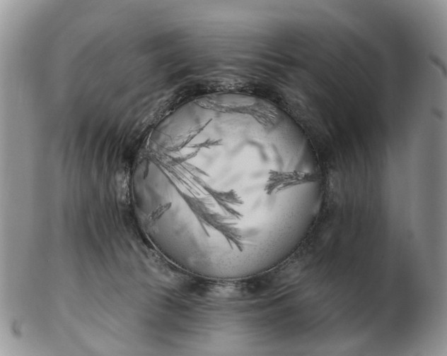 X0000102790177200809021122