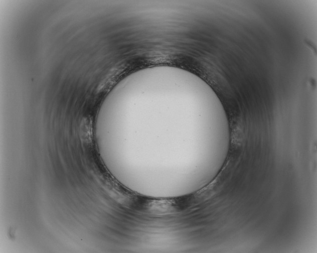 X0000102790179200809021122