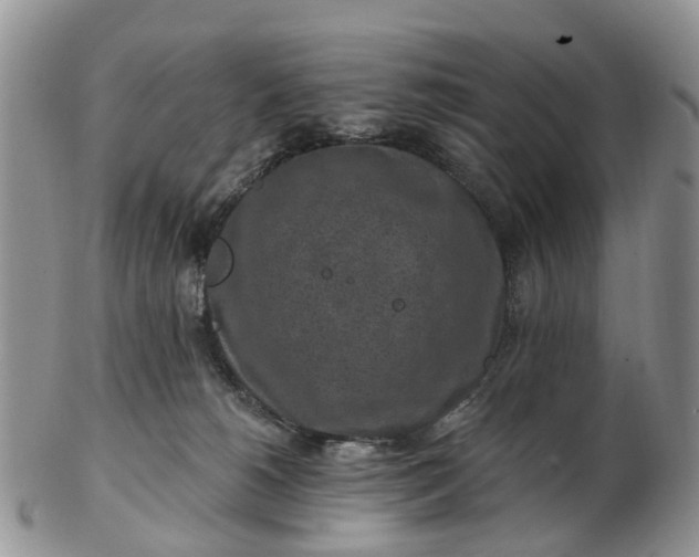 X0000102790180200809021122