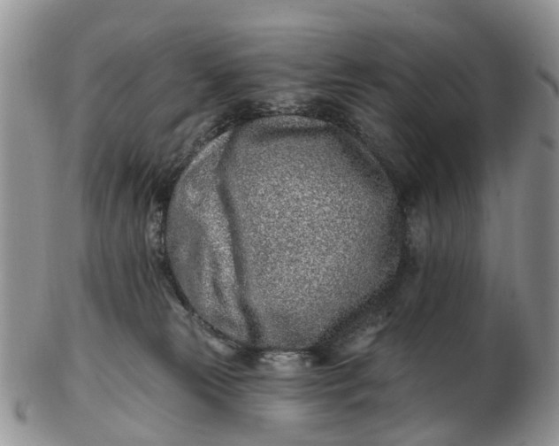 X0000102790181200809021122