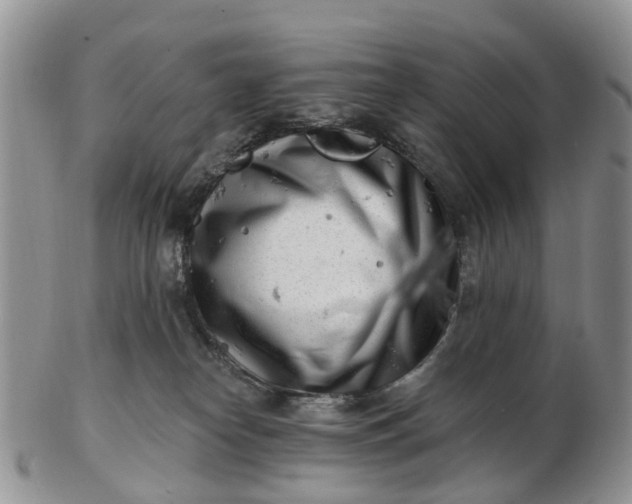 X0000102790182200809021122